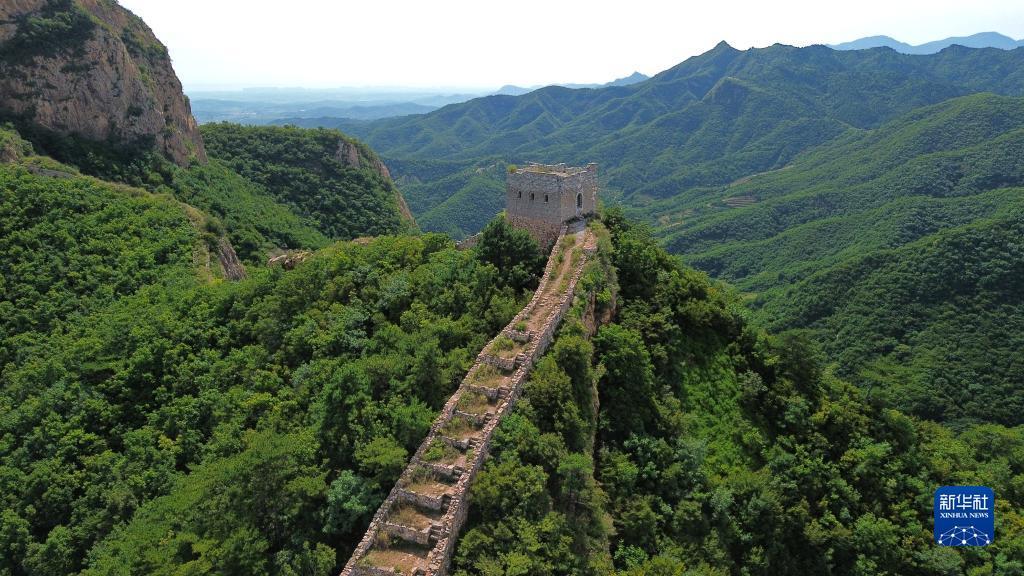 龙虎国际pt手机客户端